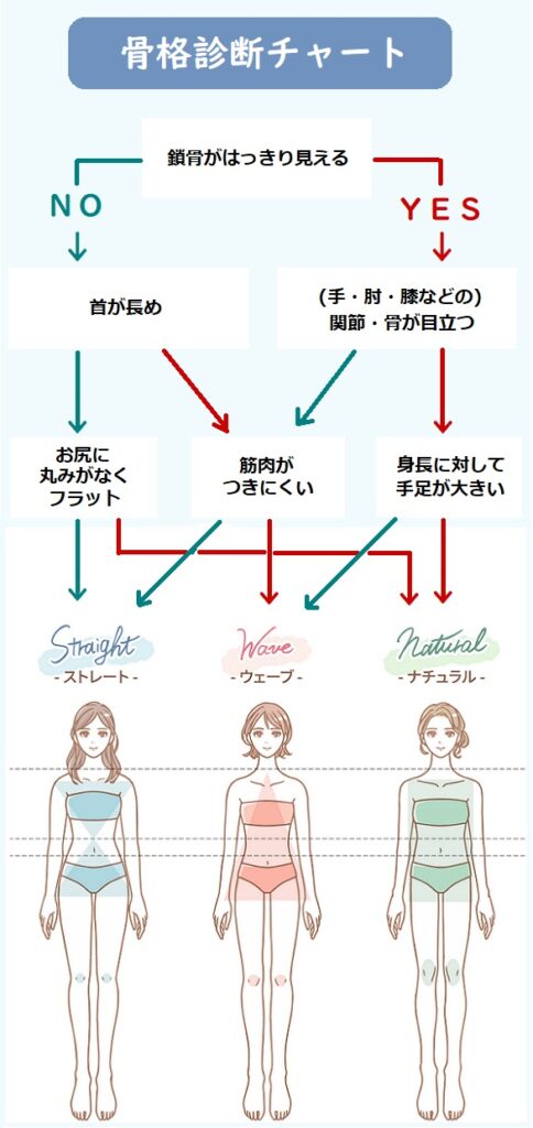 ベルミス ガードル 骨格診断