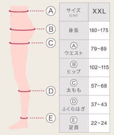 ベルシリーズ マルチ着圧レギンス サイズ感,着圧レギンス サイズ合わない