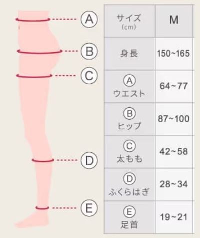 ベルシリーズ マルチ着圧レギンス サイズ感,着圧レギンス サイズ合わない